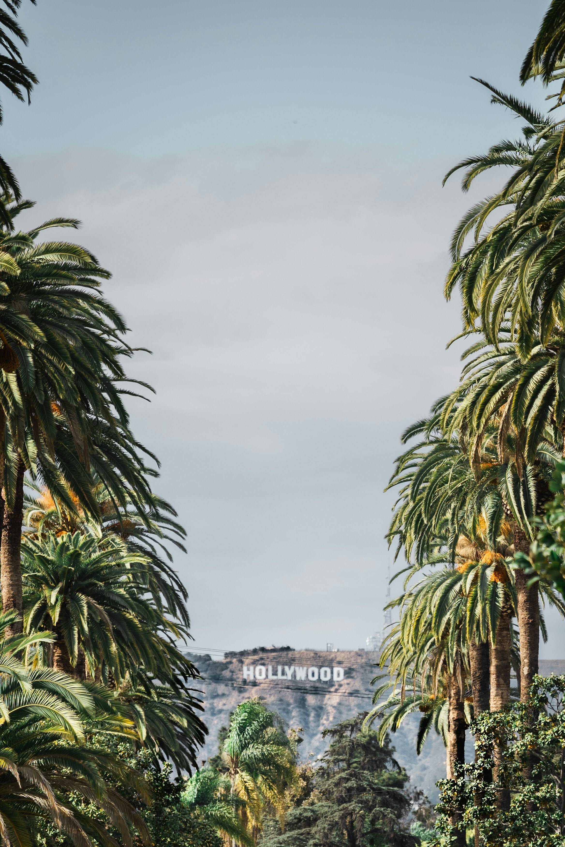 West Hollywood, lively and vibrant