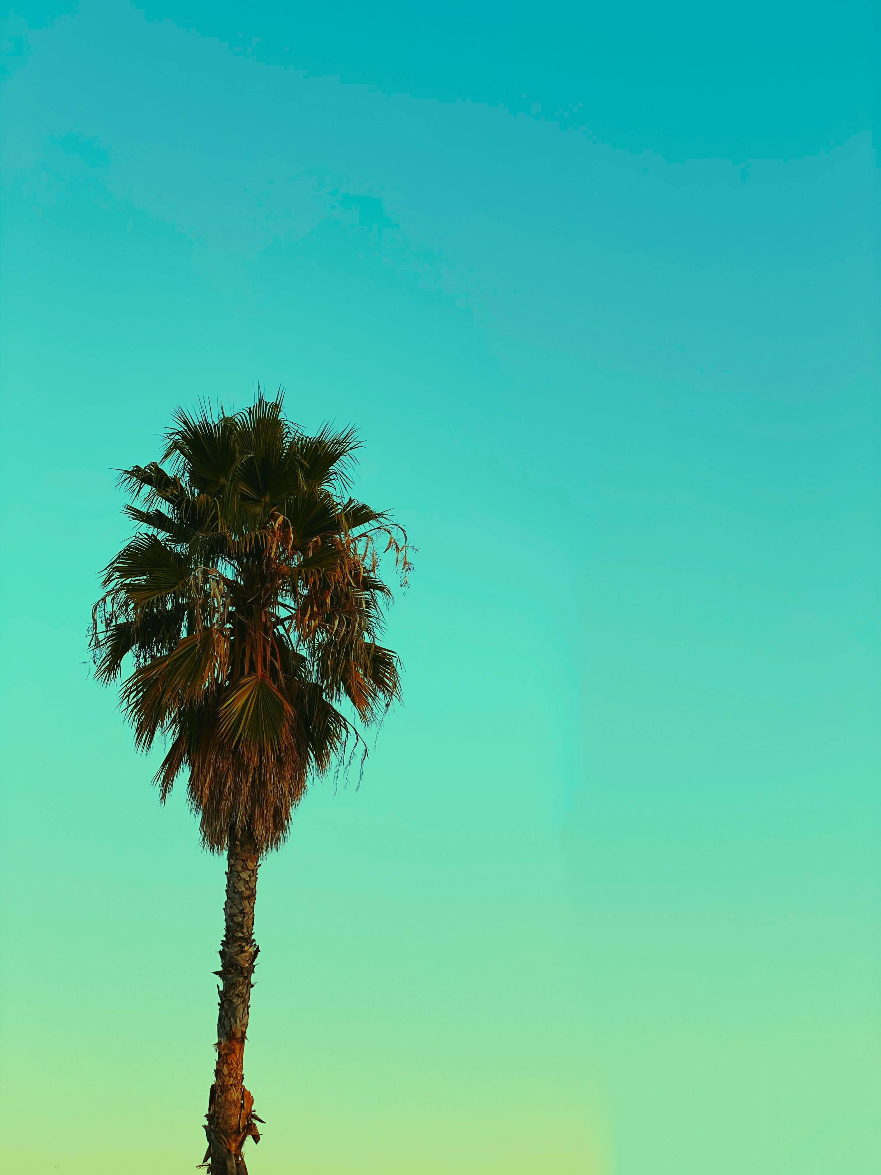 Bel Air, prestigious and affluent