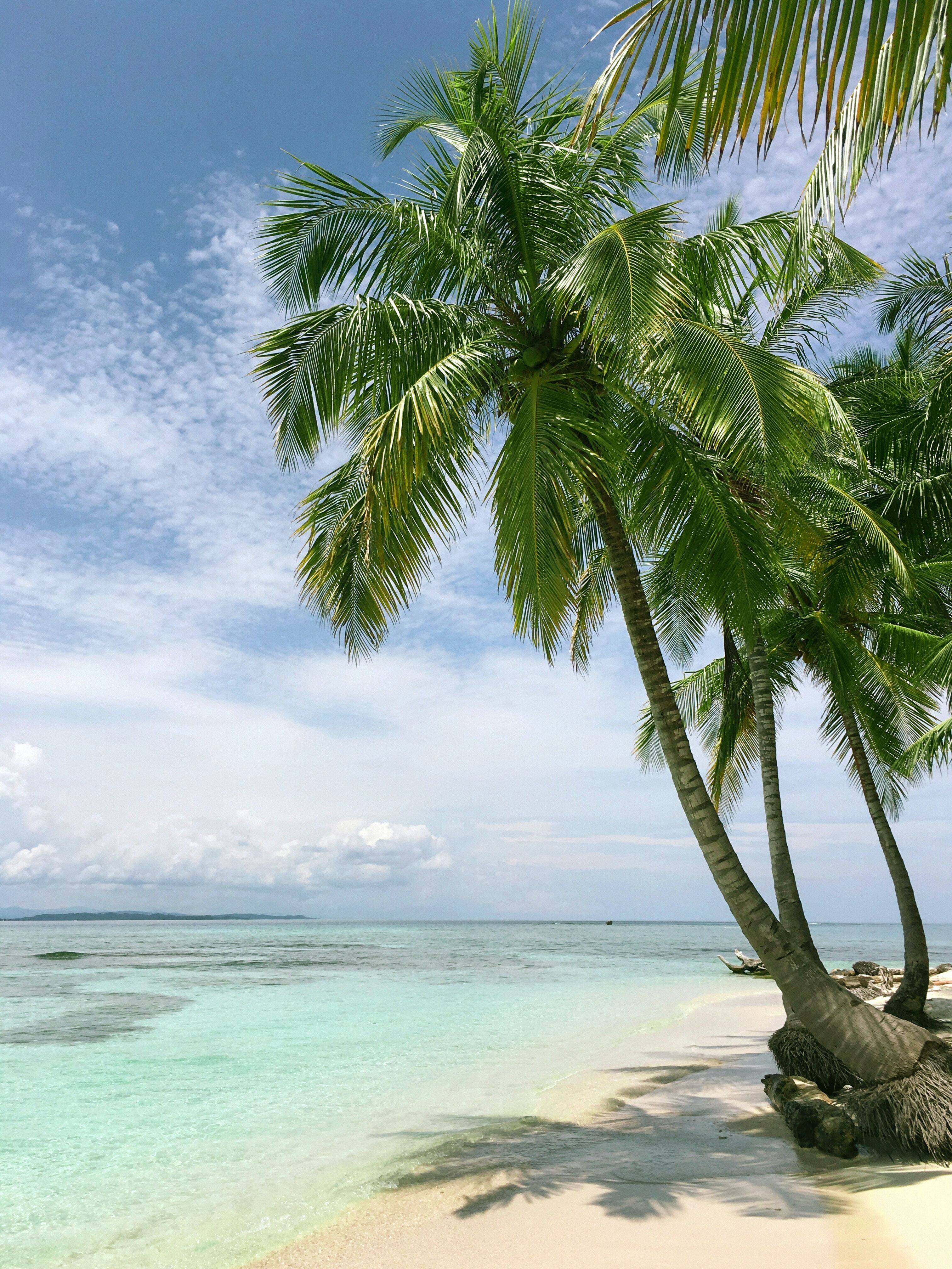 Jamaica - Paradise for music lovers