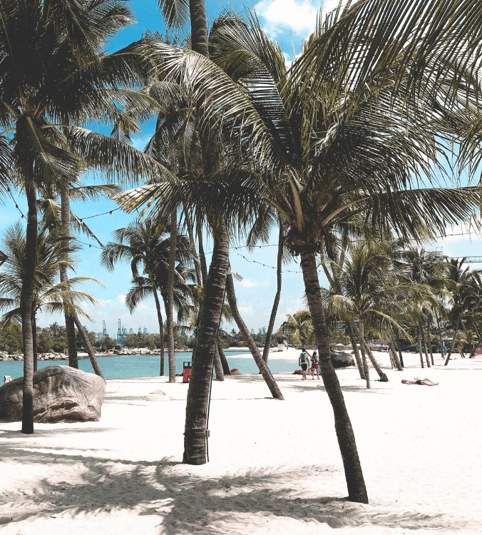 Grand Cul de Sac, a tranquil tropical oasis