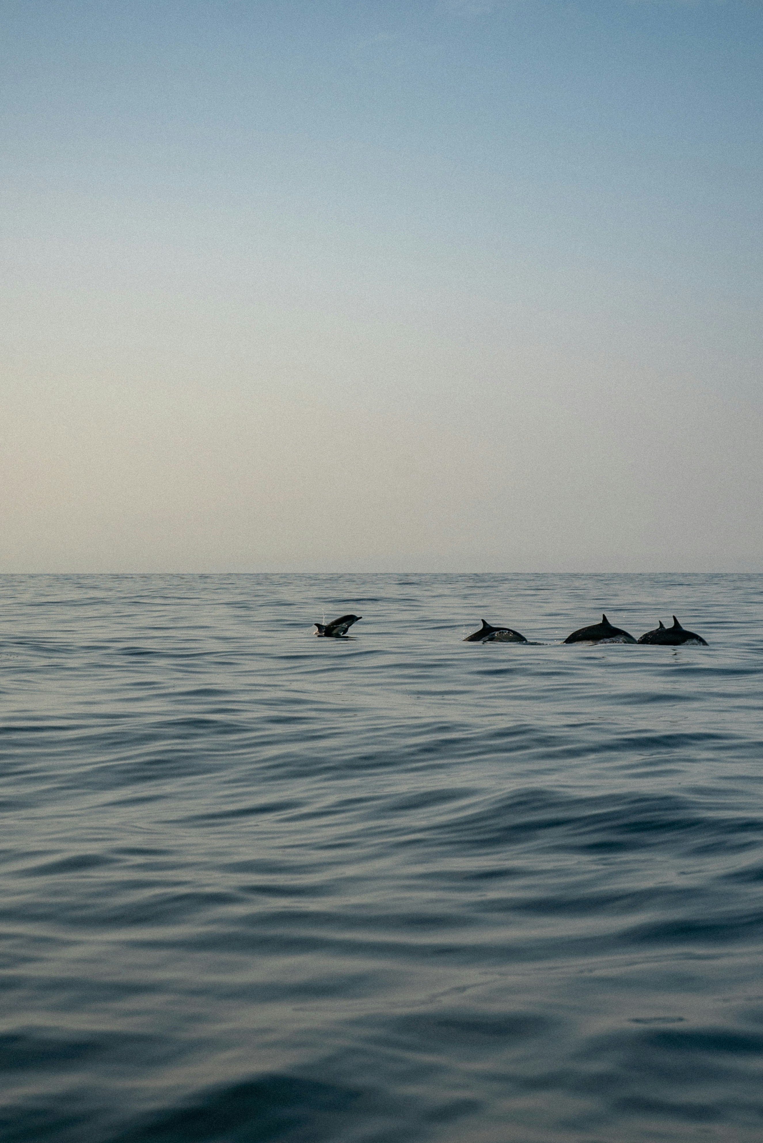 Coastal adventures and lazy beach days await: our Puerto Vallarta travel guide