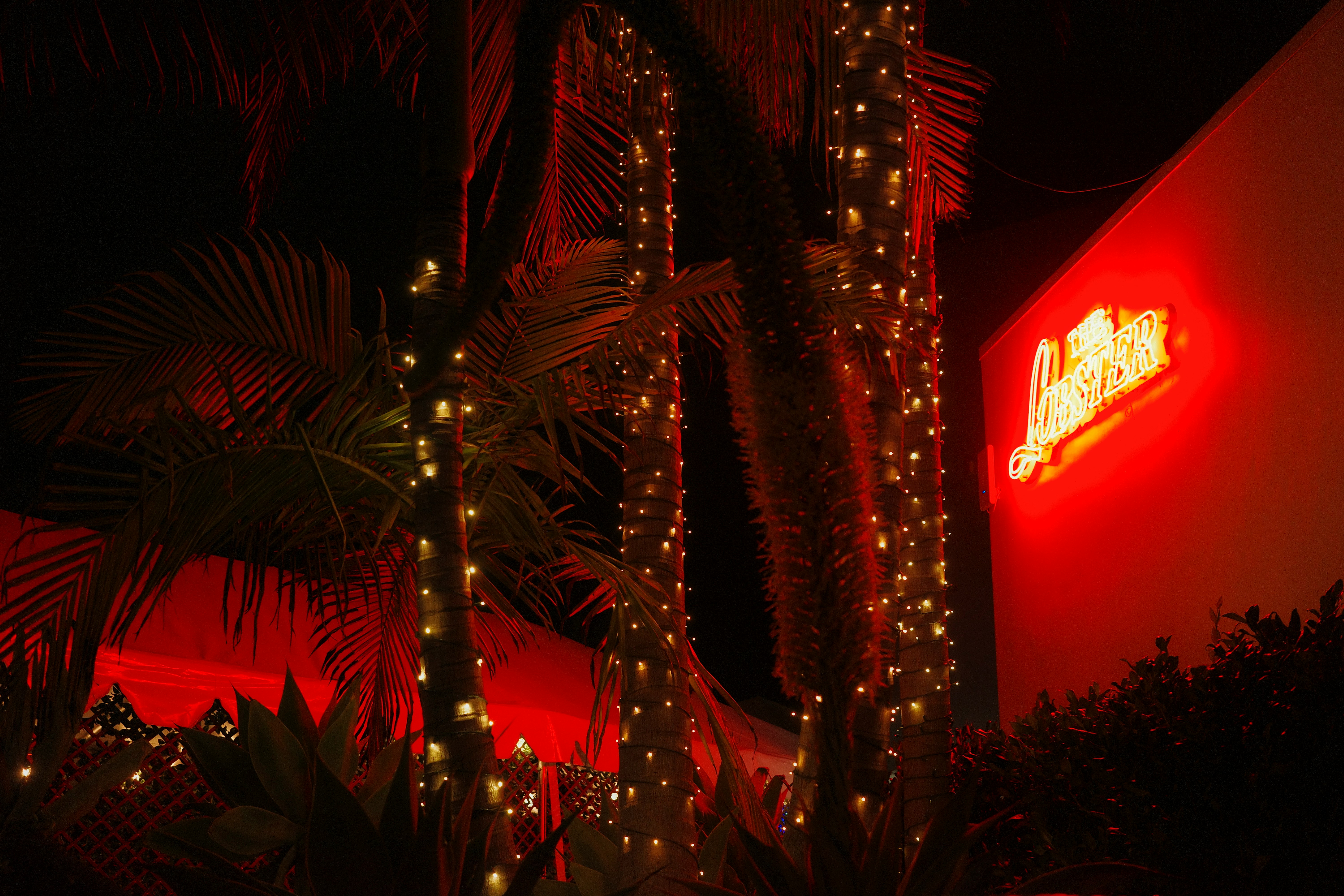 Classic holiday traditions in Hollywood: 4 events you don't want to miss